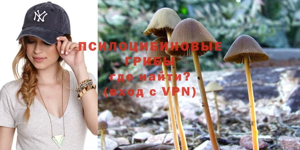 каннабис Аркадак