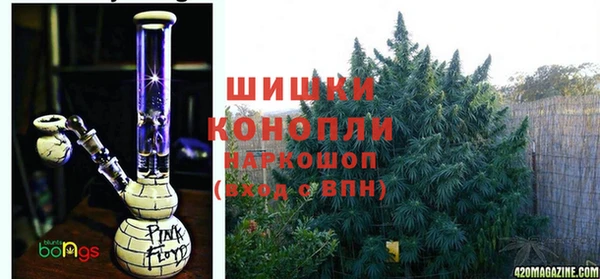 МДПВ Семилуки