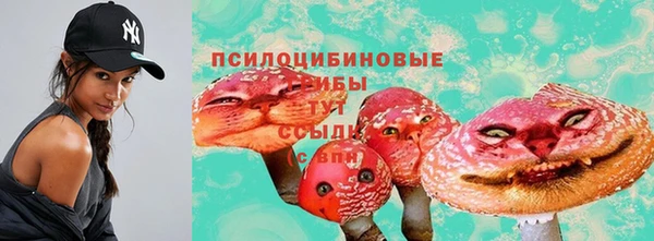 каннабис Аркадак