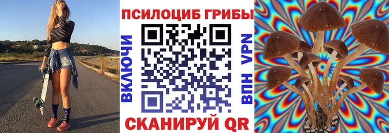 Псилоцибиновые грибы мухоморы купить Нея